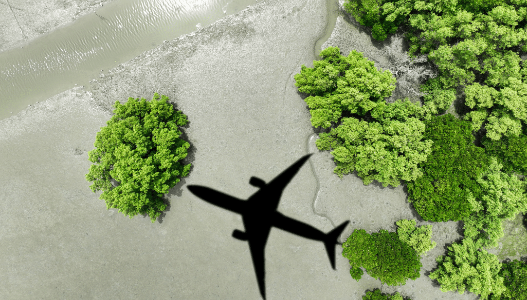 Aviation Consultant - Airplane Inspection Allentown PA