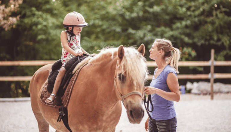 Horse-Riding-School
