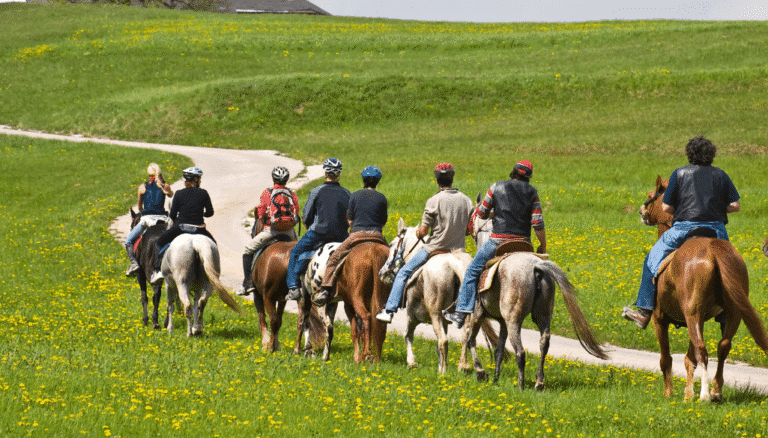 Horseback-Riding-Service