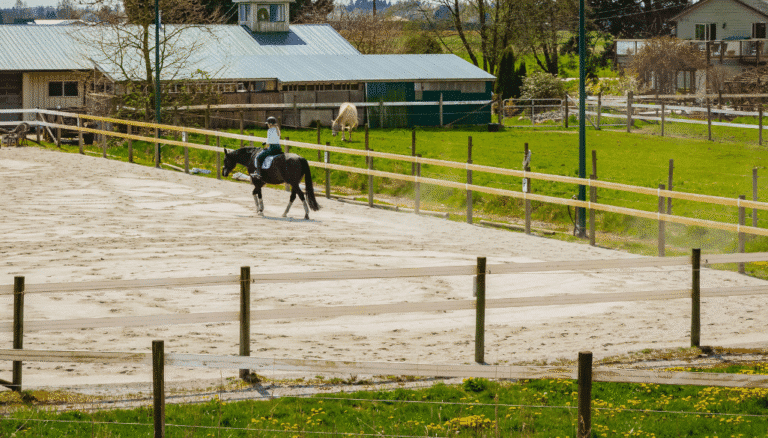 Outdoor-Equestrian-Facility