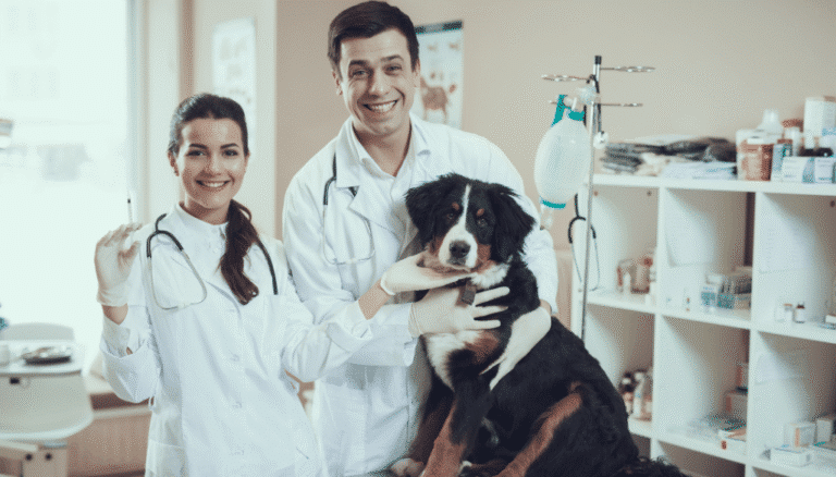 Veterinary-Care