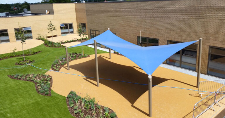 SDS Background 768x404