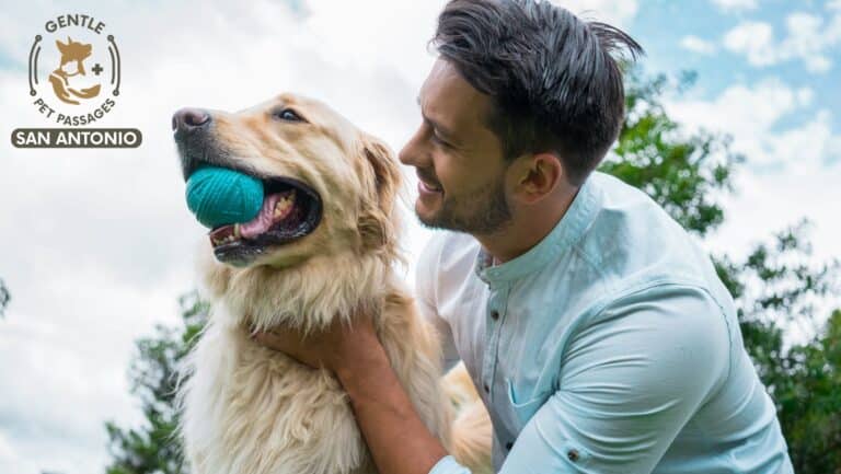 Untitled design 43 768x433