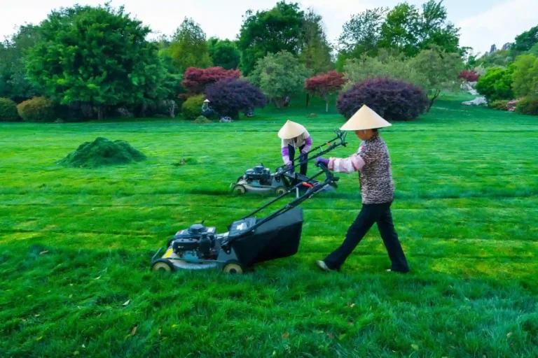 lawncaremnt 768x512