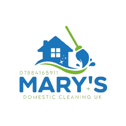 mary domestic cleaning