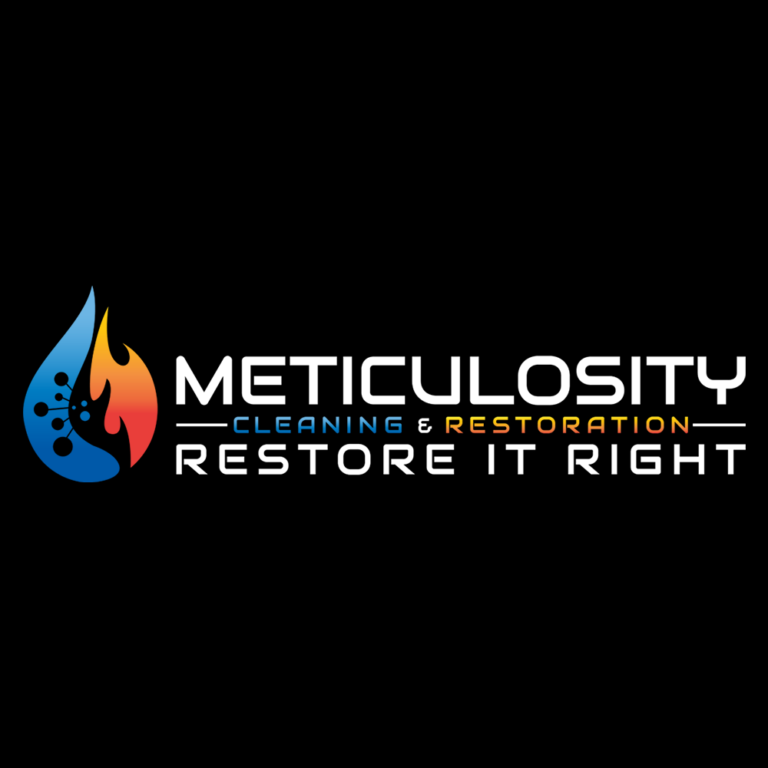 Meticulocity logo 768x768