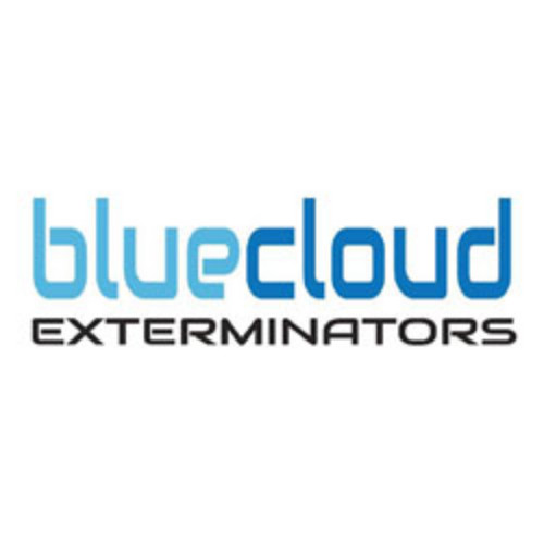 bluecloud logo1