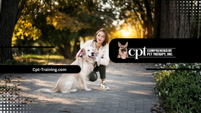 0. Youtube Banners 3 1 768x432