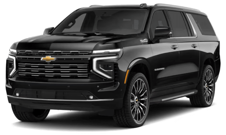 IMG 0195 181633b3 1920w 768x459